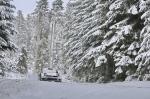 Volkswagen Polo R WRC Sweden 2013 года